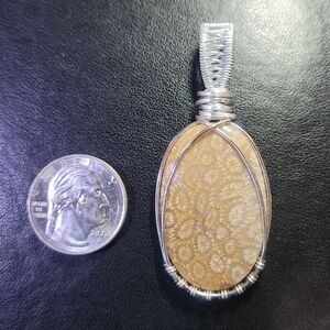 Fossil Coral Pendant